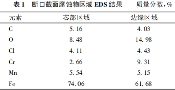 Ͽڽ港ʴ EDS 